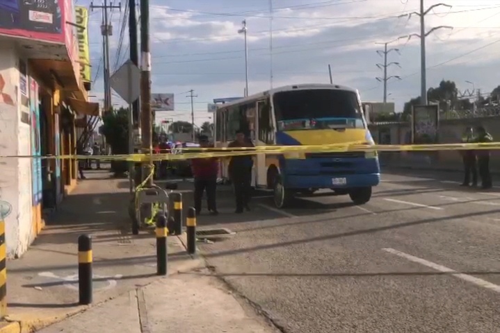 Galgos del Sur, concesión, Movilidad y Transporte, transporte público