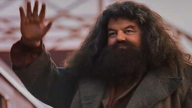 Robbie Coltrane, Rubeus Hagrid, Harry Potter