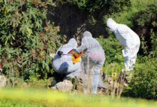 restos humanos, Xonacatepec, San Miguel Espejo, FGE