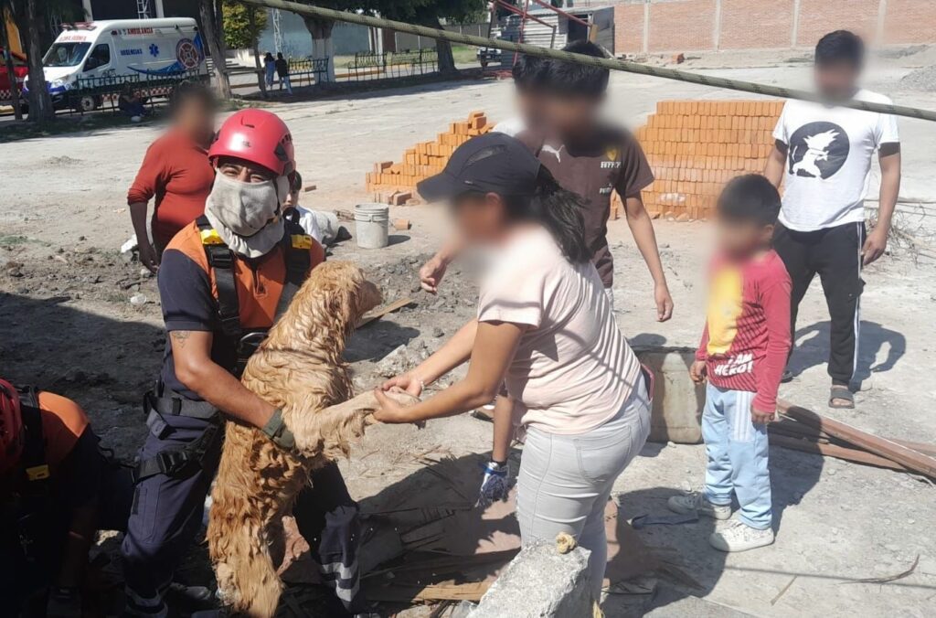 Bomberos, San Andrés Cholula, rescate, perritos