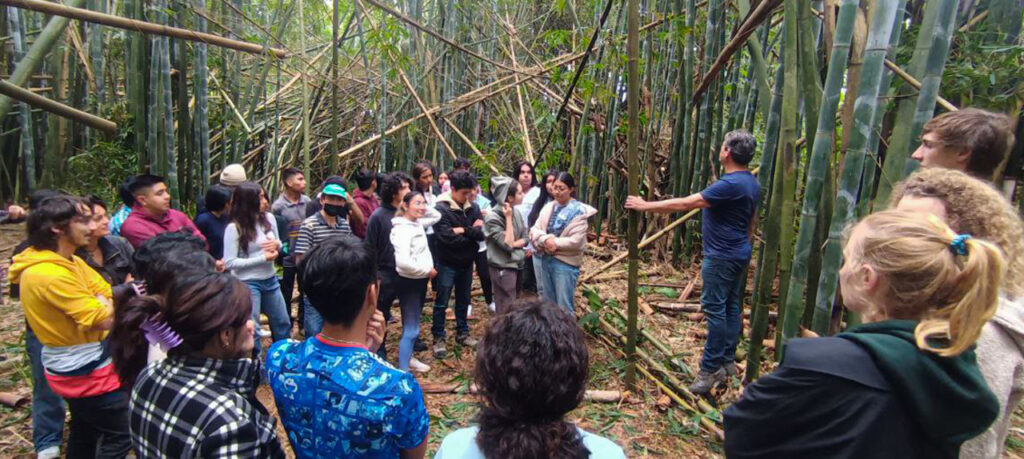 UDLAP, Arquitectura, Cuetzalan, proyecto con bambú