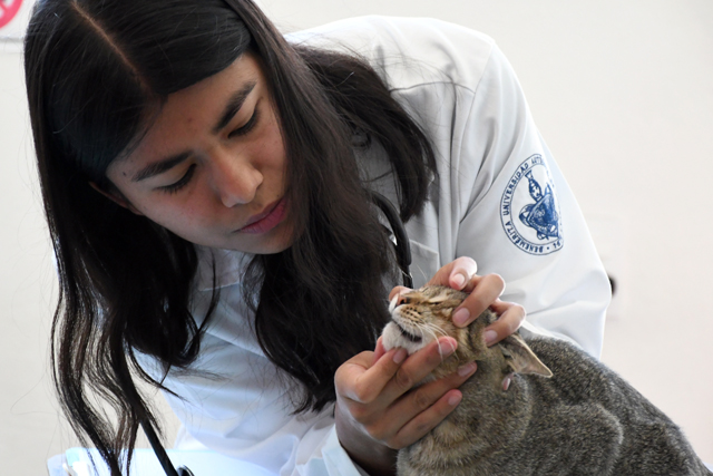 BUAP, Hospital para Pequeñas Especies