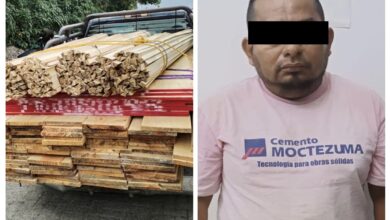 SSP, Policía Estatal, detenido, madera ilegal