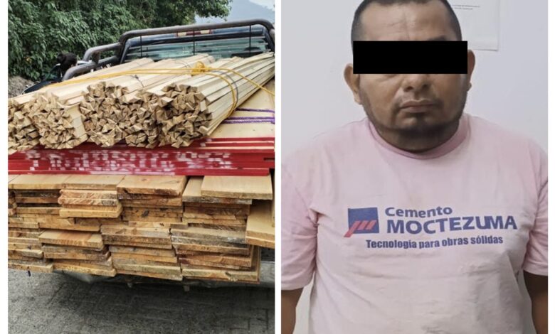 SSP, Policía Estatal, detenido, madera ilegal
