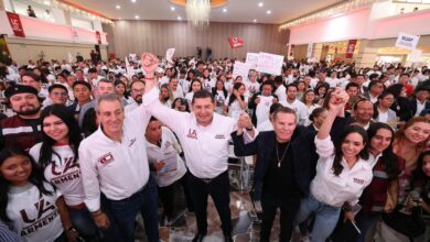 Alejandro Armenta, Pepe Chedraui, Células Universitarias