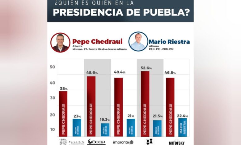encuestas, Pepe Chedraui, alcaldía de Puebla, Sigamos Haciendo Historia