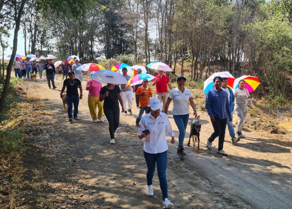 Xóchitl Zárate, Mejor Rumbo para Puebla, diputación local, Distrito 11