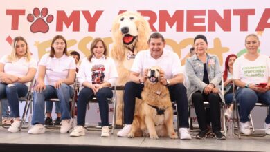 Alejandro Armenta, candidato a la gubernatura de Puebla, Sigamos Haciendo Historia, Bienestar Animal, Albergue Estatal para Perros Callejeros