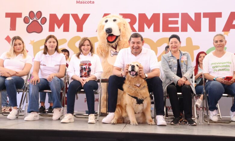 Alejandro Armenta, candidato a la gubernatura de Puebla, Sigamos Haciendo Historia, Bienestar Animal, Albergue Estatal para Perros Callejeros