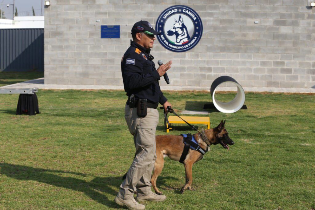 Ayuntamiento de Puebla, K9, búsqueda y rescate, estructuras colapsadas, Protección Civil