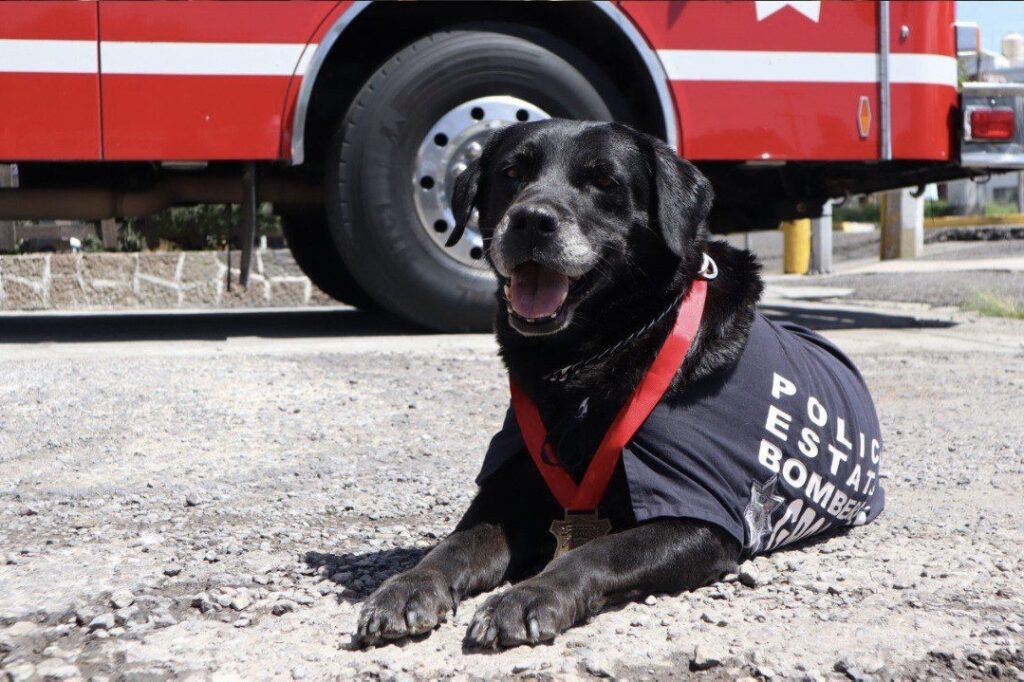 Dana, honores, SSP, Bomberos, búsqueda de personas, rescate