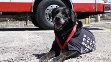 Dana, honores, SSP, Bomberos, búsqueda de personas, rescate