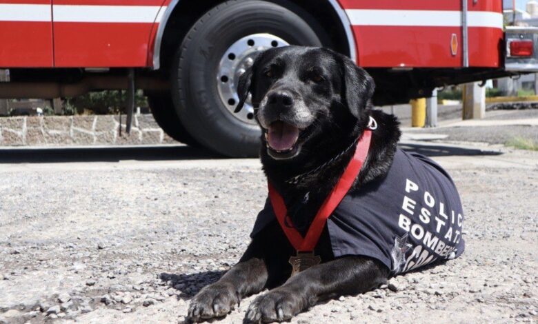 Dana, honores, SSP, Bomberos, búsqueda de personas, rescate