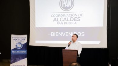 Mundo Tlatehui, PAN, análisis, proceso electoral 2024