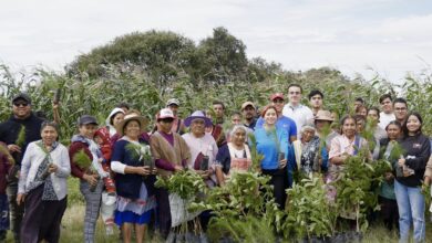 Jornada Ambiental, Alejandro Armenta, gobernador electo, Sembremos Esperanza