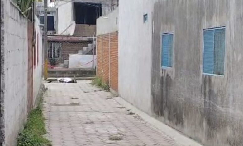 Ejecutado, El Junior, Xochimehuacán, Los Ramoncitos, robo a casa habitación, SSC, FGE, investigaciones