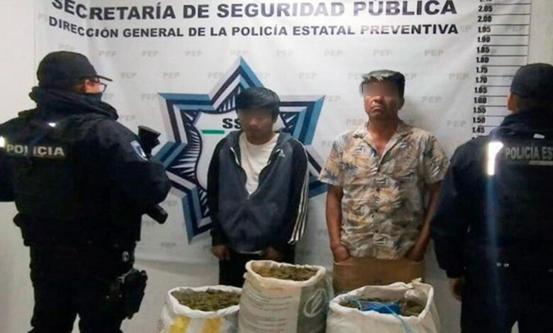 detenidos, marihuana, Ixcamilpa de Guerrero, Policía Estatal, FGR Puebla, edil de Xicotlán