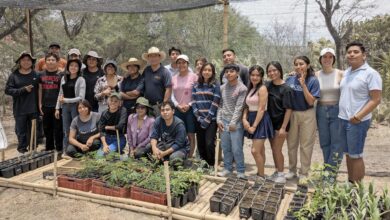 BUAP, sustentabilidad, UI Green Metric World University Ranking