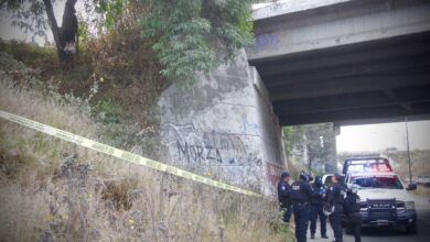 muerto, autopista México-Puebla, carretera federal a Tlaxcala, Policía Estatal, indigente