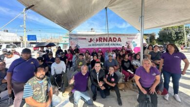 Jornadas de Bienestar Animal, Gobierno de la Ciudad, Puebla, Minerales del Sur