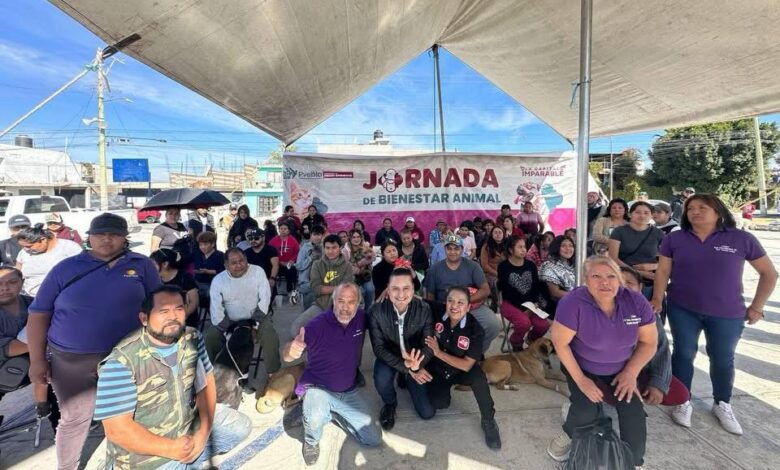 Jornadas de Bienestar Animal, Gobierno de la Ciudad, Puebla, Minerales del Sur