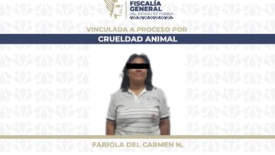 maltrato animal, crueldad animal, detenida, Huejotzingo, vinculación a proceso, Fabiola del Carmen, FGE