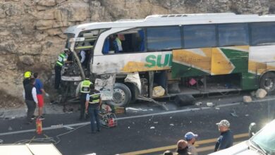 accidente, choque, autopista Cuacnopalan-Oaxaca, Tehuacán, Línea Sur