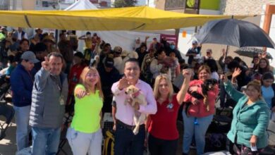 Jornada de Atención Animal, Gobierno de la Ciudad, Guadalupe Hidalgo