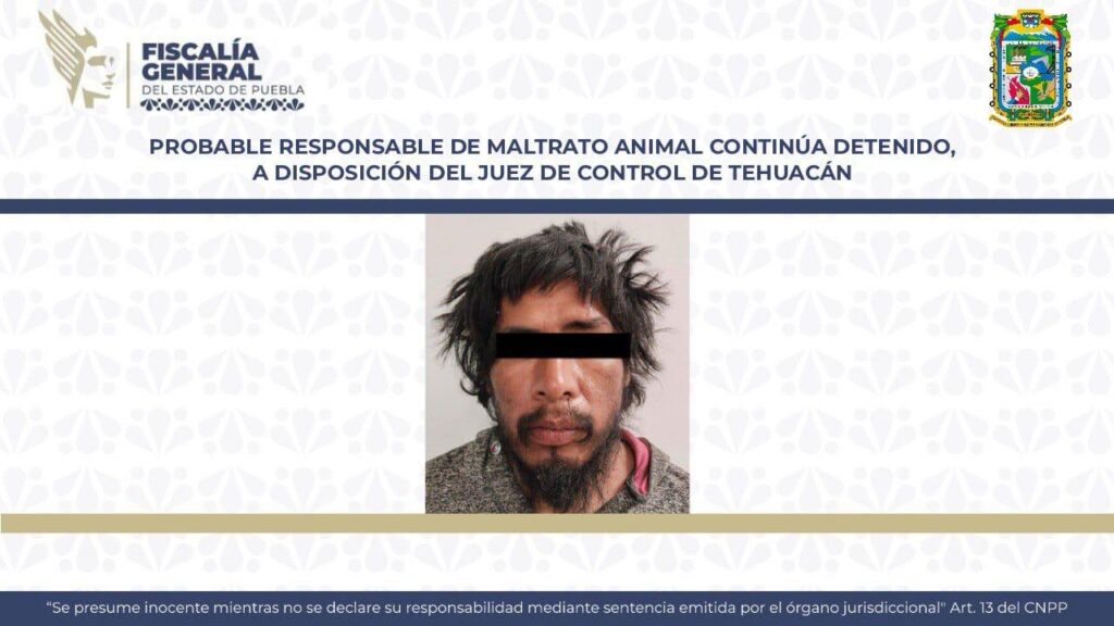 agresor, Huesitos, Juez de Control, detenido, maltrato animal, Tehuacán, Santiago Miahuatlán