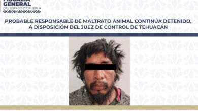 agresor, Huesitos, Juez de Control, detenido, maltrato animal, Tehuacán, Santiago Miahuatlán