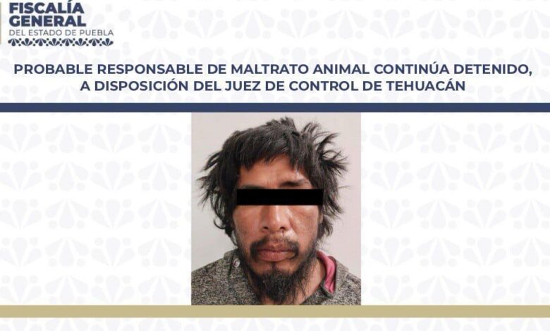 agresor, Huesitos, Juez de Control, detenido, maltrato animal, Tehuacán, Santiago Miahuatlán