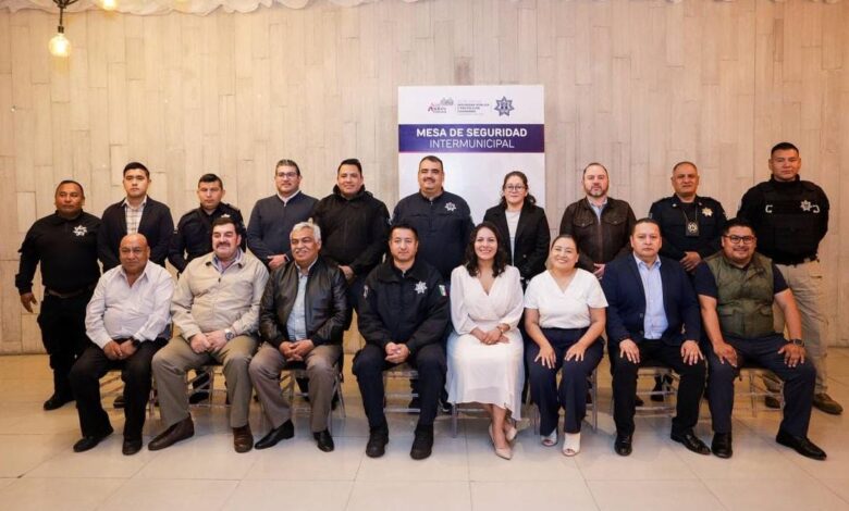 seguridad, estrategias, municipios de la zona metropolitana, Lupita Cuautle, San Andrés Cholula