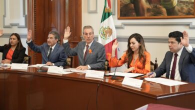 Gobierno de la Ciudad, Sistema Municipal para la Igualdad entre Mujeres y Hombres, Pepe Chedraui