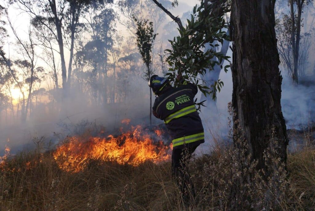 incendios, incendios forestales, Puebla, Gobierno del Estado, Alejandro Armenta, sanciones