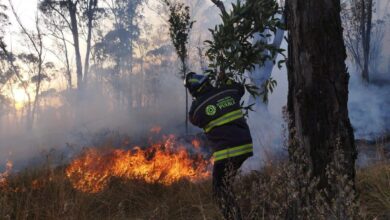 incendios, incendios forestales, Puebla, Gobierno del Estado, Alejandro Armenta, sanciones