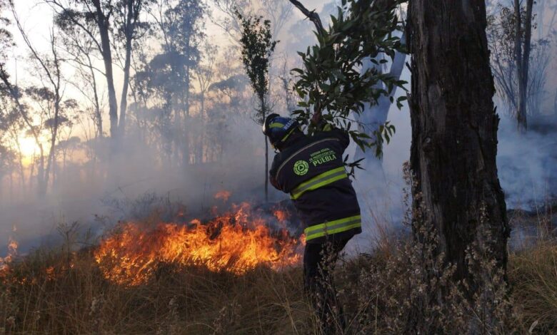 incendios, incendios forestales, Puebla, Gobierno del Estado, Alejandro Armenta, sanciones