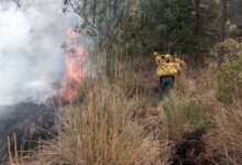 incendio forestal, Tlachichuca, Gobierno de Puebla