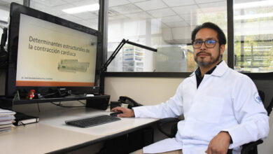 BUAP, investigación, células cardiacas