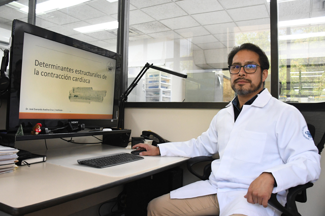 BUAP, investigación, células cardiacas