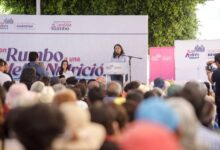 Lupita Cuautle, San Andrés Cholula, apoyos alimentarios