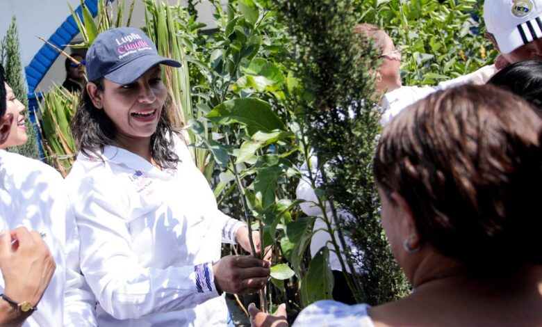 San Andrés Cholula, Lupita Cuautle, Adopta un Árbol, Cacalotepec