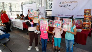 Gobierno de Puebla, Sí al Desarme Sí a la Paz