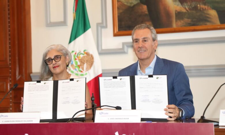 Gobierno de la Ciudad, Pepe Chedraui, transparencia, CEPC
