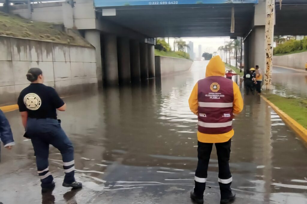 robo, MacroPay, Plaza Dorada, inseguridad