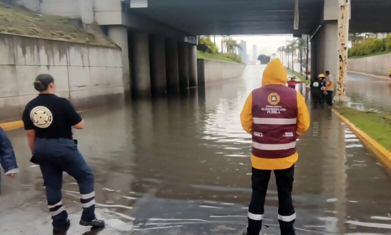 robo, MacroPay, Plaza Dorada, inseguridad