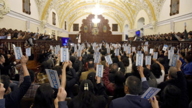 BUAP, Lilia Cedillo, Consejo Universitario, comisiones estatutarias