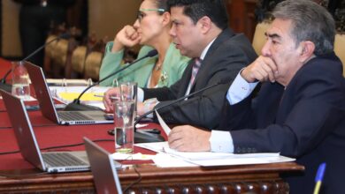 Gobierno de la Ciudad, programas de Bienestar, Cabildo, aprobación
