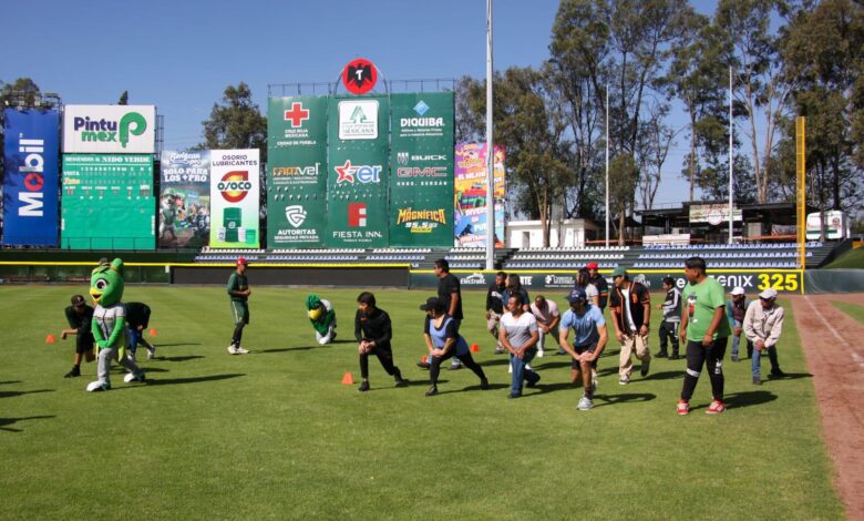 IMDP, Gobierno de la Ciudad, Pericos de Puebla