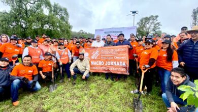 Gobierno de la Ciudad, jornadas ambientales, Municipio Libre, Carmelitas