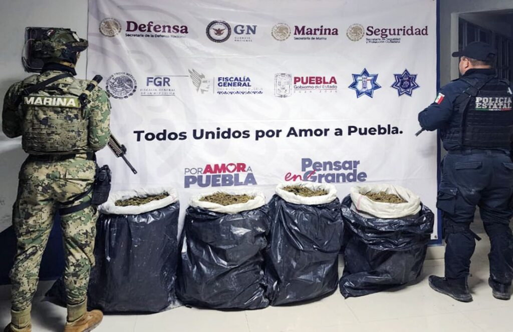 Teotlalco, Texmelucan, SSP, Policía Estatal, marihuana, crystal